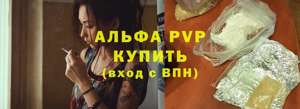 хмурый Горняк
