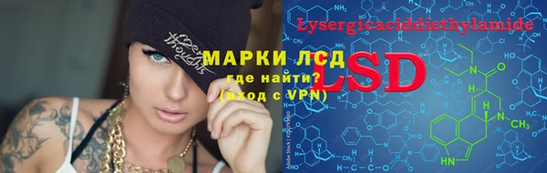 прущие грибы Кирсанов