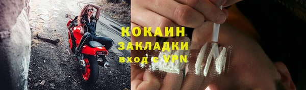 прущие грибы Лиски