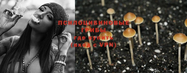прущие грибы Кирсанов