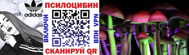гидра Мценск Псилоцибиновые грибы MAGIC MUSHROOMS купить