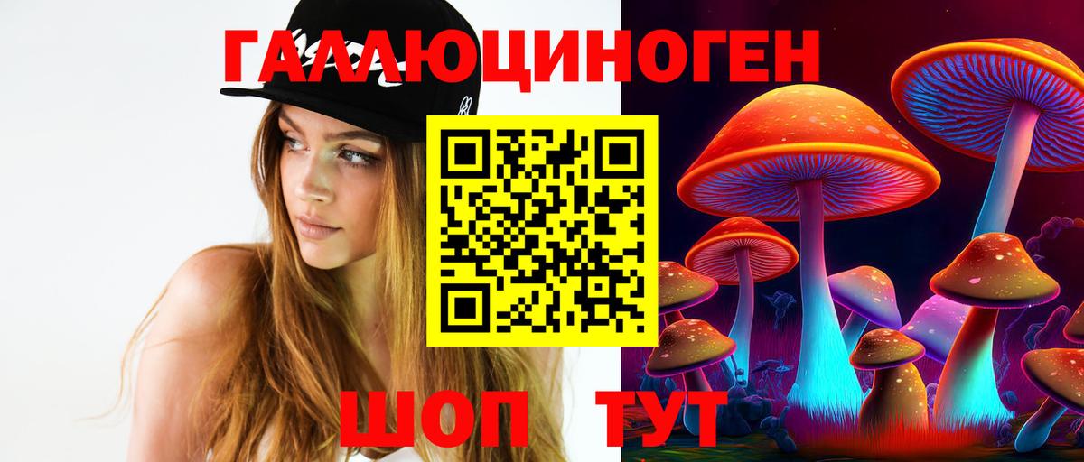 Мценск  Галлюциногенные грибы Cubensis  Вход с VPN 