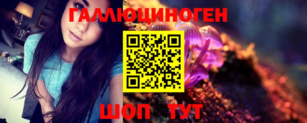 Галлюциногенные грибы Psilocybine cubensis Мценск