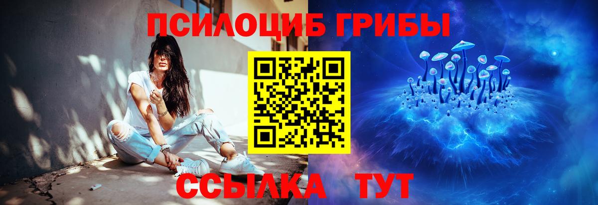 Псилоцибиновые грибы Magic Shrooms  Галлюциногенные грибы GOLDEN TEACHER  Мценск 